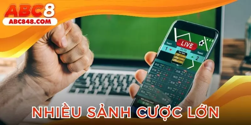 Điểm danh những sảnh cược phổ biến hợp tác