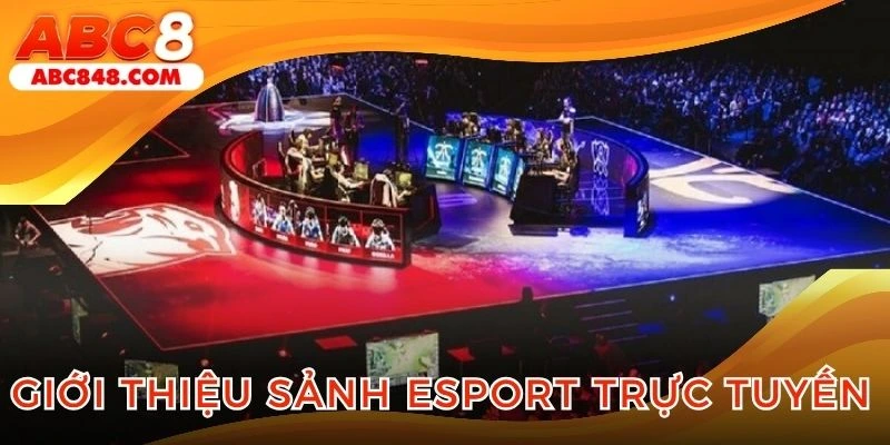 Tổng quát về sảnh thể thao trực tuyến hấp dẫnTổng quát về sảnh thể thao trực tuyến hấp dẫn