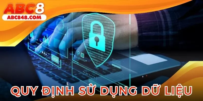 Quy định về sử dụng dữ liệu người chơi