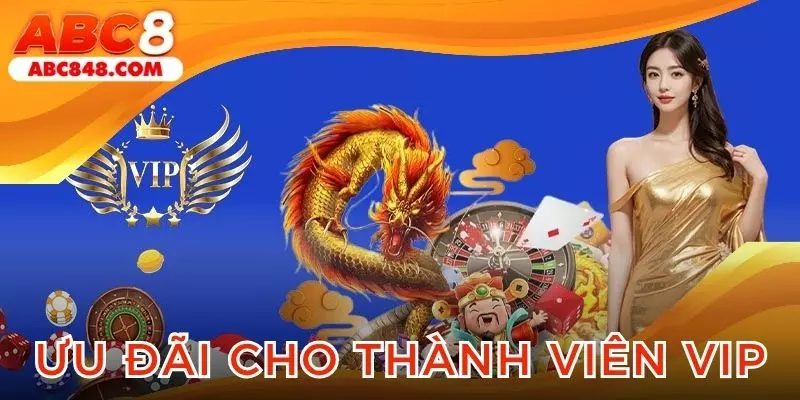 Ưu đãi áp dụng riêng cho thành viên VIP